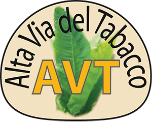 AVT-news